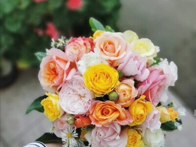 Kako buduća teta u vrtiću – Ljubica, uzgaja cvijeće i aranžira cvjetne bukete?