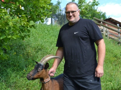 Kako do farme - Eso počeo s kozom, Željko s teletom