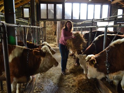 Kako do farme - Eso počeo s kozom, Željko s teletom Kako do farme - Eso počeo s kozom, Željko s teletom