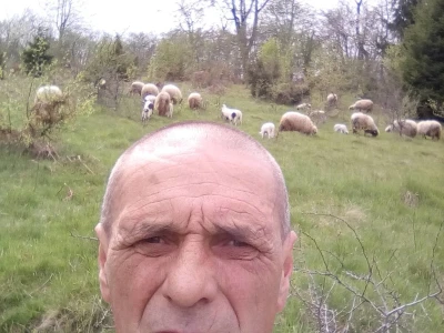 Kako do farme - Eso počeo s kozom, Željko s teletom