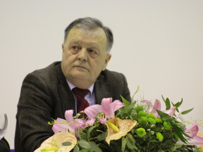 Kako do tisuću hektara pod maslinama u Hercegovini?