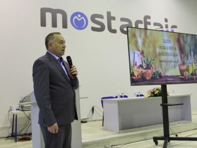 Kako do tisuću hektara pod maslinama u Hercegovini?