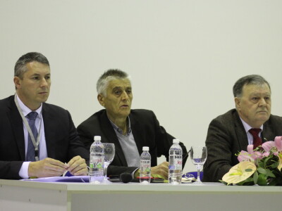 Kako do tisuću hektara pod maslinama u Hercegovini?