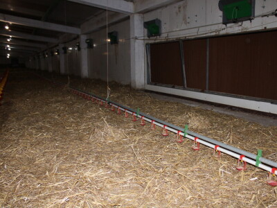 Kako izgleda farma s rashladnim saćem?