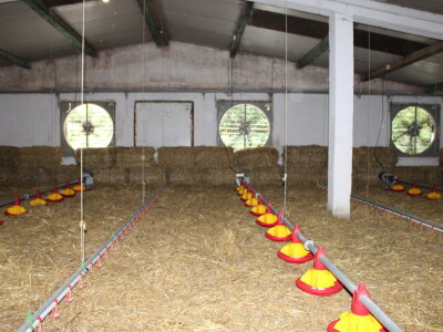 Kako izgleda farma s rashladnim saćem?