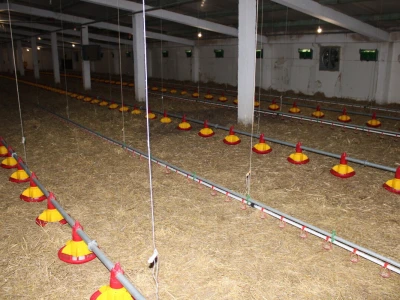 Kako izgleda farma s rashladnim saćem?