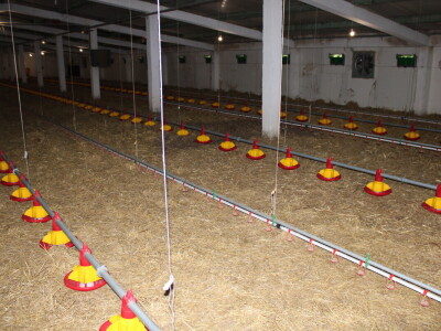 Kako izgleda farma s rashladnim saćem?