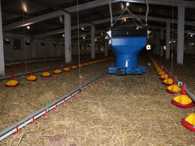 Kako izgleda farma s rashladnim saćem?