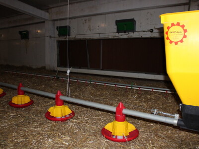 Kako izgleda farma s rashladnim saćem?