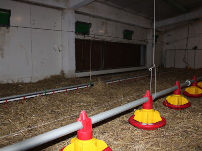 Kako izgleda farma s rashladnim saćem?