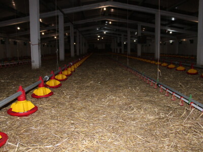 Kako izgleda farma s rashladnim saćem?