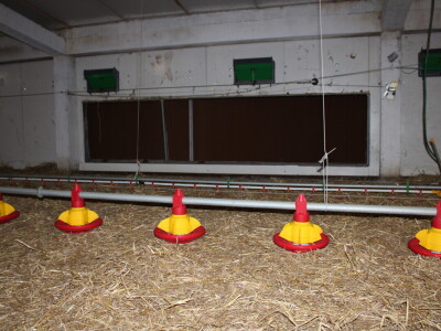 Kako izgleda farma s rashladnim saćem?