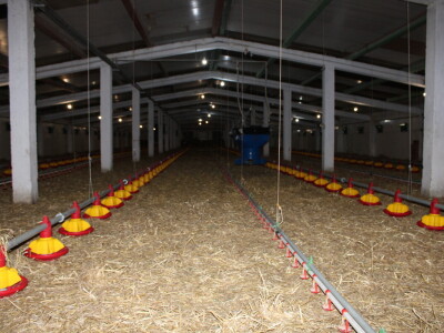 Kako izgleda farma s rashladnim saćem?