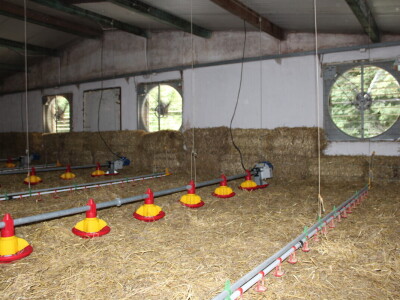 Kako izgleda farma s rashladnim saćem?
