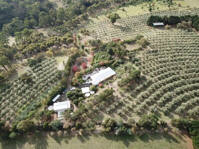 Kako izgraditi imanje na čvrstim temeljima i zaraditi