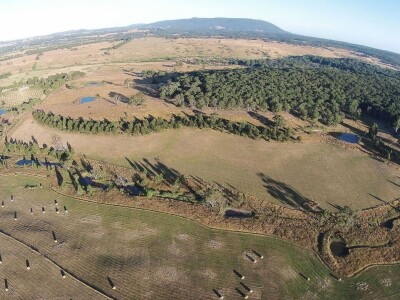 Kako izgraditi imanje na čvrstim temeljima i zaraditi