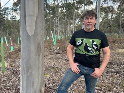 Kako izgraditi imanje na čvrstim temeljima i zaraditi