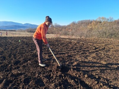 Kako Jakovčanke sade gradinu?
