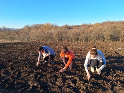 Kako Jakovčanke sade gradinu?