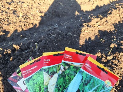 Kako Jakovčanke sade gradinu?