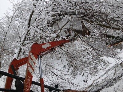 Kako je traktorista Ibro postao najpoželjniji komšija