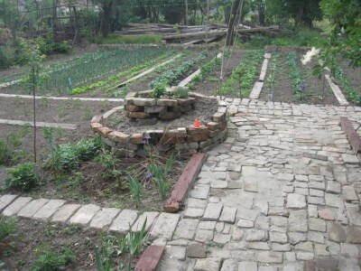 Kako kopriva i beli luk mogu pomoći u bio bašti?!