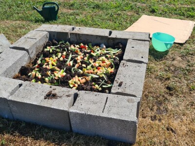 Kako napraviti komposter i proizvesti glistal?