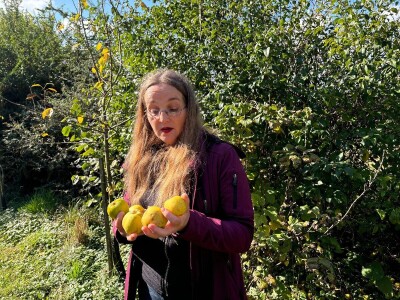 Kako napraviti šumu hrane