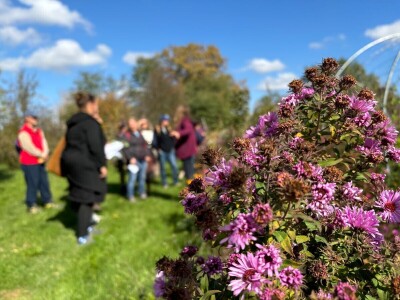 Kako napraviti šumu hrane