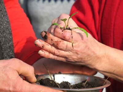 Kako primijeniti perma model u vrtu prirodno i bez štetnih sredstava - voditeljica radionice Marina Marija Skorup, permakulturna praktičarka