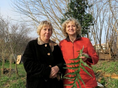 Kako primijeniti perma model u vrtu prirodno i bez štetnih sredstava - voditeljica radionice Marina Marija Skorup, permakulturna praktičarka