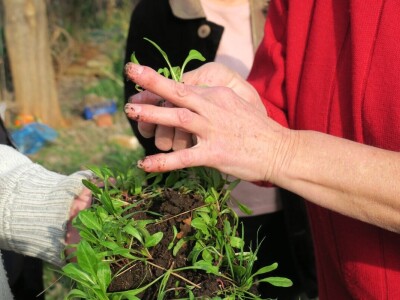 Kako primijeniti perma model u vrtu prirodno i bez štetnih sredstava - voditeljica radionice Marina Marija Skorup, permakulturna praktičarka