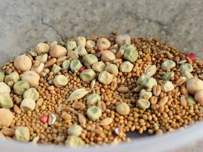 Kako primijeniti perma model u vrtu prirodno i bez štetnih sredstava - voditeljica radionice Marina Marija Skorup, permakulturna praktičarka