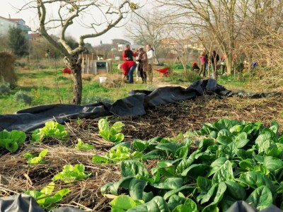 Kako primijeniti perma model u vrtu prirodno i bez štetnih sredstava - voditeljica radionice Marina Marija Skorup, permakulturna praktičarka