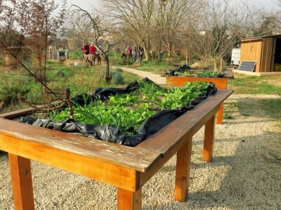 Kako primijeniti perma model u vrtu prirodno i bez štetnih sredstava - voditeljica radionice Marina Marija Skorup, permakulturna praktičarka