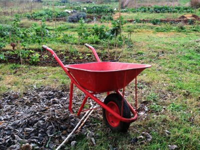 Kako primijeniti perma model u vrtu prirodno i bez štetnih sredstava - voditeljica radionice Marina Marija Skorup, permakulturna praktičarka