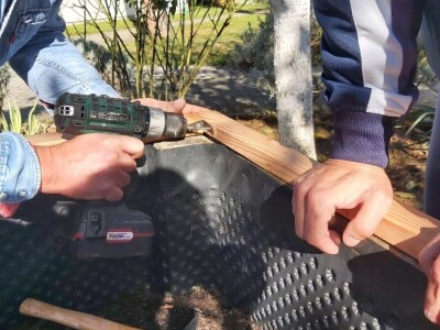 Kako produžiti vrtlarsku sezonu postavljanjem jednostavnog plastenika