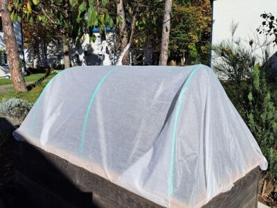 Kako produžiti vrtlarsku sezonu postavljanjem jednostavnog plastenika