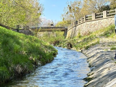 Kako se Beč nosi s klimatskim promjenama?