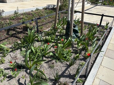 Kako se Beč nosi s klimatskim promjenama?