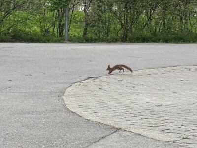 Kako se Beč nosi s klimatskim promjenama?