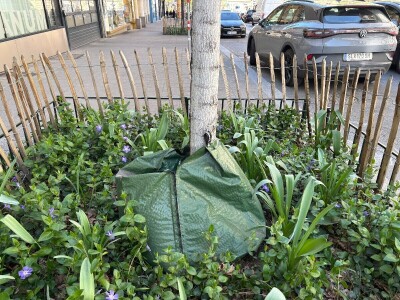 Kako se Beč nosi s klimatskim promjenama?