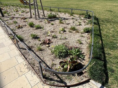 Kako se Beč nosi s klimatskim promjenama?