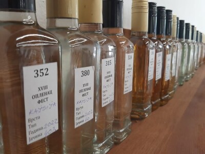 Kako se ocenjuje uzorak rakije u Topoli, foto: M. Lazarević