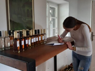 Kako se ocenjuje uzorak rakije u Topoli, foto: M. Lazarević