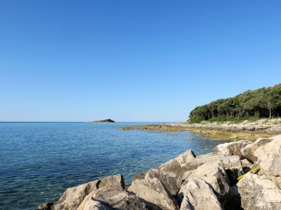 Kako se riješiti invazivnog plavog raka