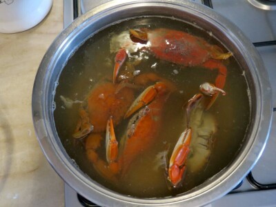 Kako se riješiti invazivnog plavog raka