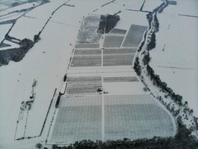 Kako se uzgajaju jabuke na OG Branković?