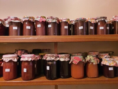 Kako se uzgajaju jabuke na OG Branković?