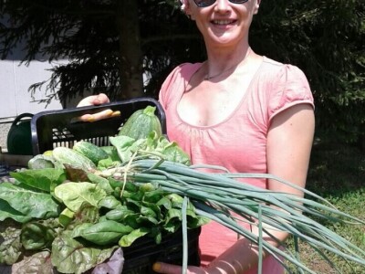 Kako su građani od zapuštenog gradskog zemljišta napravili baštu prepunu povrća uzgojenog na bio način